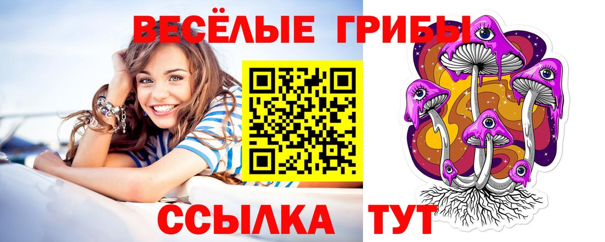 Галлюциногенные грибы мицелий Сердобск