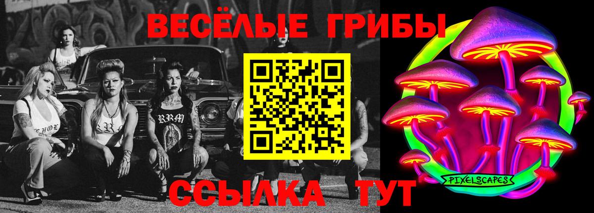 Псилоцибиновые грибы мицелий  Вход с VPN  цена   Сердобск  Псилоцибиновые грибы Cubensis 